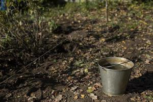 Eimer Wasser im Garten. Stahleimer im Herbst. Wasser zum Gießen von Pflanzen. foto