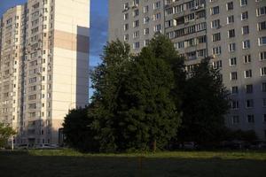 Bäume in der Nähe des Hauses. Details des Parks. in der Stadt parken. Grünanlage im Wohngebiet. Stadt ist im Sommer. foto