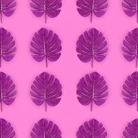 tropische palmmonsterblätter liegen auf einem pastellfarbenen papier. Natur-Sommer-Konzeptmuster. flache Laienzusammensetzung. Ansicht von oben foto