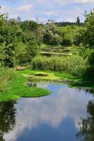 sommertageslandschaft mit einem großen sumpf, der mit grüner entengrütze und sumpfvegetation übersät ist foto