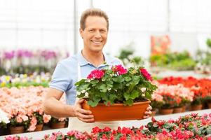 Arbeiten mit Blumen. Schöner reifer Mann, der eine Topfpflanze hält und in die Kamera lächelt, während er im Gewächshaus steht foto