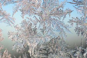 Schneeflocken Frost Raureif Makro auf Fensterglasscheibe foto