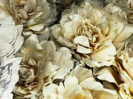 textur von weißen beige schönen blumen mit zarten üppigen blütenblättern mit funkeln. der Hintergrund foto