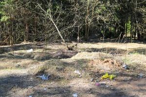 Schmutzige Waldlichtung, die durch Hausmüll im Wald verschmutzt ist. konzept umweltverschmutzung, umwelt foto