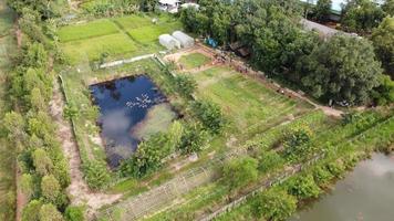 Draufsicht der Farm in Thailand. foto