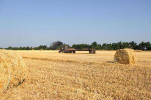 Landwirtschaft - Traktor trägt einen Heuhaufen. Traktor mit Heu. foto