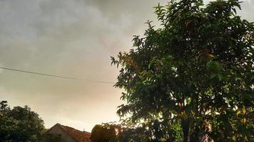Blick auf bedeckte Wolken mit Sonnenschein zwischen den Bäumen foto