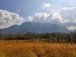 ländliche Landschaft mit einem Weg, Bäumen und Wiesen auf Hügeln, blauem Himmel und angenehm warmem Sonnenschein foto