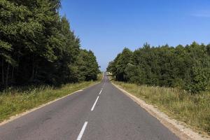 asphaltierte Straße durch den Wald foto