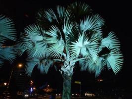 Guadalupe-Palme, die nachts in der Stadt beleuchtet wird foto