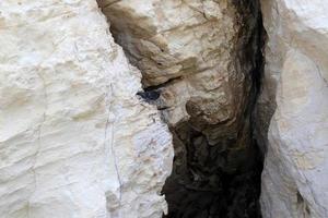 grotten in den kreidefelsen am ufer des mittelmeeres. foto