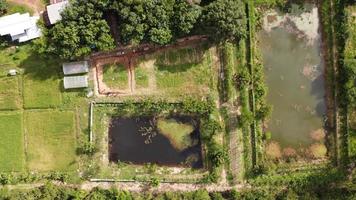 Draufsicht der Farm in Thailand. foto