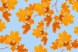 Herbstlandschaft mit leuchtend buntem Laub. Indischer Sommer. foto