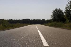 asphaltierte Straße durch den Wald foto