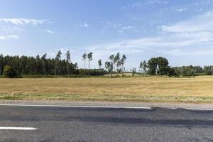 schmale asphaltierte Straße für Autos foto