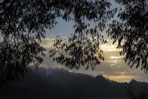 nebliger morgen auf dem fluss foto