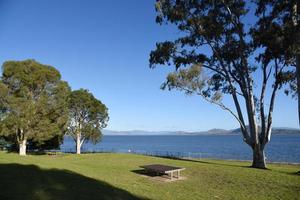 der grüne picknickplatz mit dem murray river im hintergrund ist ein fluss im südosten australiens. er ist mit 2.508 km der längste fluss australiens in albury, nsw. foto