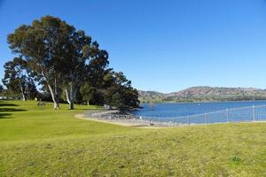 der grüne picknickplatz mit dem murray river im hintergrund ist ein fluss im südosten australiens. er ist mit 2.508 km der längste fluss australiens in albury, nsw. foto