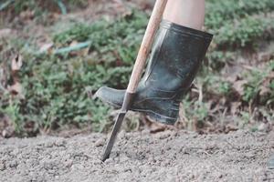 Nahaufnahme von Bein tragen die Stiefel graben den Boden bereiten für Pflanzengemüse, heimischen Bio-Landwirtschaftsgarten und Fleischnahrungskonzept Platz für Text und Design foto