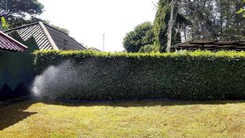 Sprinkler spritzt oder bewässert Rasen und Bäume im Garten mit Kopierplatz an sonnigen Tagen. foto