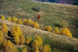 bunte Herbstlandschaft im Bergdorf. nebliger morgen in den karpaten in rumänien. erstaunliche Natur. foto