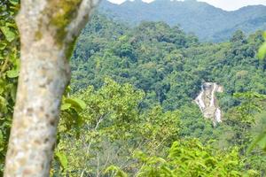 Berg und Wasserfall Schönheit Natur Baum Vordergrund foto