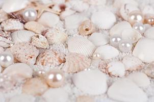 Hintergrund von Muscheln und Perlen
