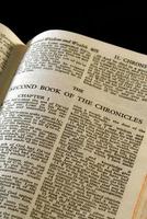 Chroniken der Bibelreihen ii