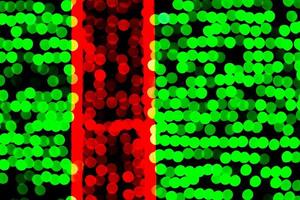 Unfokussiertes abstraktes grünes und rotes Bokeh auf schwarzem Hintergrund. defokussiert und verschwommen viele runde licht foto