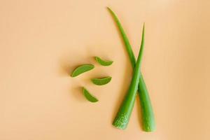 Draufsicht auf frische Aloe-Vera-Blätter. Spa-Hintergrundkonzept. foto