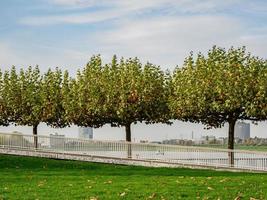 Düsseldorf und der Rhein foto