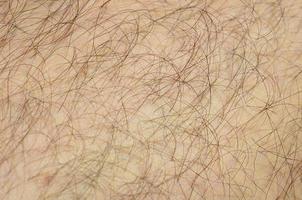 Nahaufnahme Detail der menschlichen Haut mit Haaren. behaartes bein des mannes foto