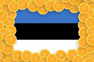 estnische flagge im rahmen mit frischen zitrusfruchtscheiben foto