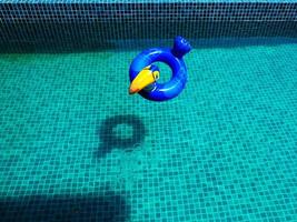 ein Vogelschwimmer, der in den Pool geworfen wird foto