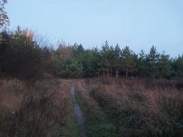 Morgen- und Nachtpanorama der Morgendämmerung foto