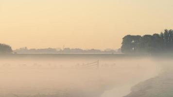 Sonnenaufgang mit Nebel über den Feldern von 't Woudt, Niederlande. foto