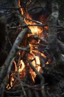 Feuer im Wald. Flamme ist gelb. Verbrennung trockener Zweige. foto