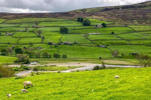 Weiße und schwarze Schafe mit Yorkshire Dales Vista im Hintergrund foto