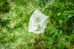 Plastiktüte, die am grünen Tannenzweig hängt foto