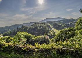 sommerlandschaft hügel und horizont foto