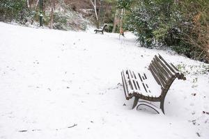 Holzbank im Park mit Schnee im Winter foto