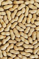 Erdnüsse in ihrer Schale texturierter Lebensmittelhintergrund. foto