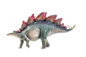 dinosaurier, stegosaurus isolierter hintergrund foto