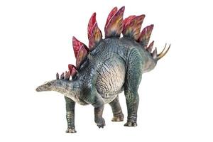 dinosaurier, stegosaurus isolierter hintergrund foto