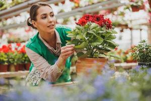 Frau Floristin kümmert sich um Blumen im Gartencenter foto