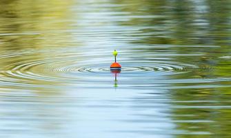 Blick auf ruhiges Wasser foto