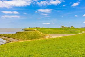 schöne küste deich landschaft panorama wasser steine felder wald deutschland. foto