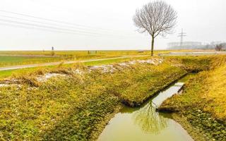 zugefroren fluss bach teich see kalt natur wald umwelt deutschland. foto