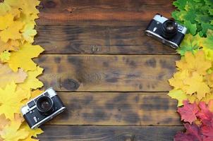 Zwei alte Kameras inmitten einer Reihe von vergilbten gefallenen Herbstblättern auf einer Hintergrundfläche aus natürlichen Holzbrettern von dunkelbrauner Farbe foto