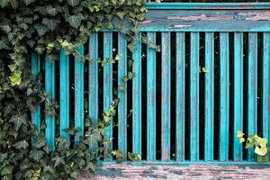 Alter Holzzaun mit abblätternder blauer Farbe und grünen Pflanzen, die darauf wachsen. Architektur der Provinzstadt. Nahansicht. foto